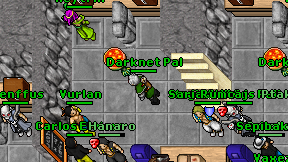 Darknet Pal on screen