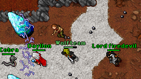 Wolfteam on screen