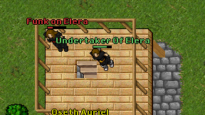 Undertaker Of Elera on screen