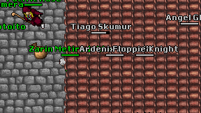 Ardenix Assasin on screen
