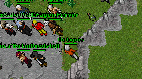 Octopos on screen