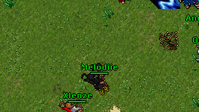 Melodiie on screen