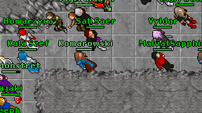 Komarowski on screen