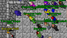 Greean lady on screen