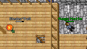 Eleder'Pall on screen