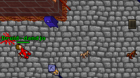 Druid-dandjo on screen
