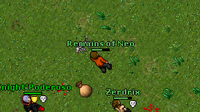 Remains of Neo on screen