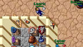 Learic on screen