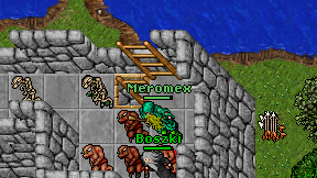 Meromex on screen
