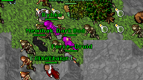 Dark Bud on screen