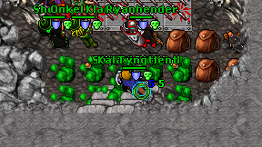 Shallow Knight on screen