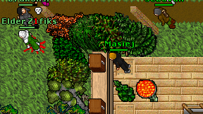 Masiej on screen