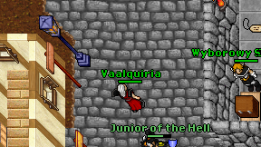 Vaalquiria on screen