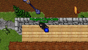 Magius Sulcide on screen