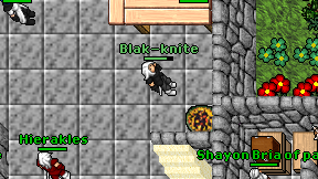 Blak-knite on screen
