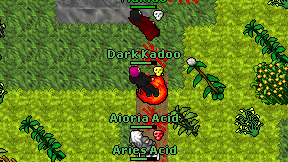 Dark Kadoo on screen