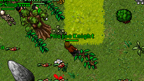 Miojoo Knight on screen