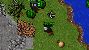 Ecaay on screen