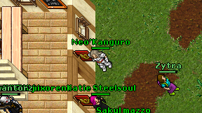 Neo'Kanguro on screen