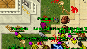 Fenixun on screen