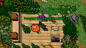 Magestic Swordman on screen