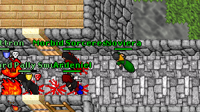 Noviera on screen
