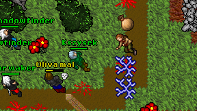 Kszysek on screen