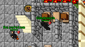 Gibdzioch on screen