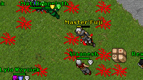 Master'Fuji on screen