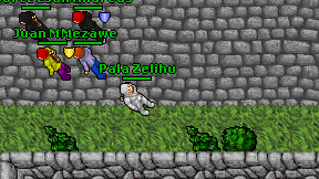 Pala Zelihu on screen