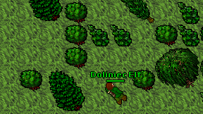 Doliniec Elf on screen