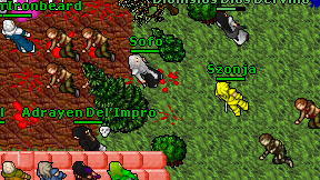 Sofo on screen