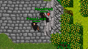 Poxa Luck on screen