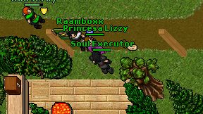 Soul Executor on screen