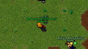 Arkangel Droes on screen