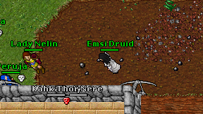 Emsi Druid on screen