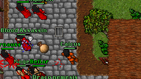 Caicus on screen