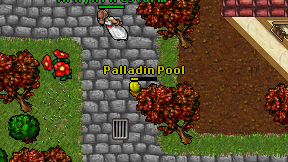 Palladin Pool on screen