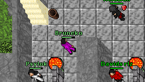 Bruneko on screen