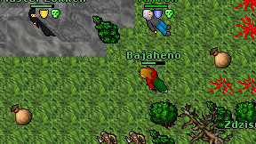 Bajaheno on screen