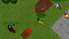 Moshu on screen