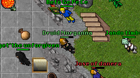 Druid Morganna on screen