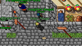 Edu-Mage on screen