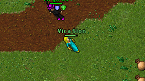 Vica Sion on screen