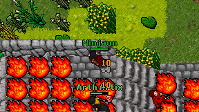 Ninjaun on screen