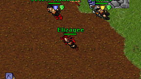 Elizagee on screen