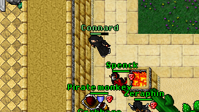 Connard on screen
