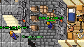 Wild Arcanist on screen