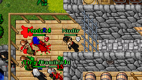 Nudir on screen