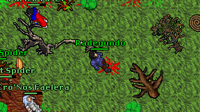 Radegundo on screen